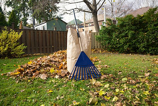 A bag filled with leaves and a rake resting on green grass in a yard