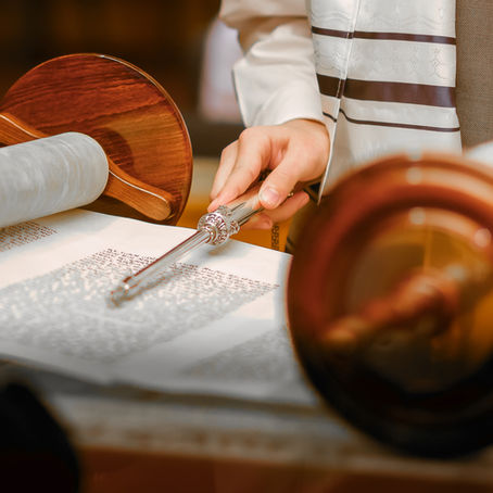Dvar Torah - Shoftim