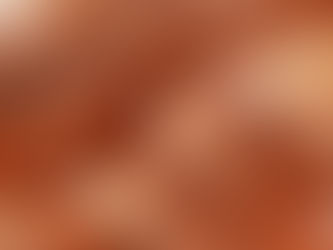 Bronze Sponsorship Package