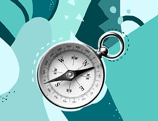 Magnetic Compass