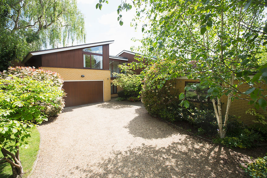 Trees and bushes around sunny house exterior and driveway
