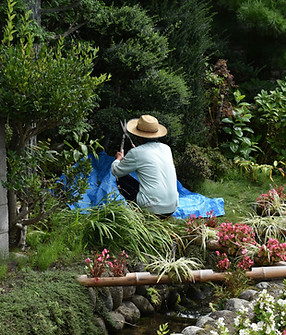 Jardineiro em Flower Garden