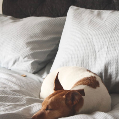 Tech Tools for Better Sleep