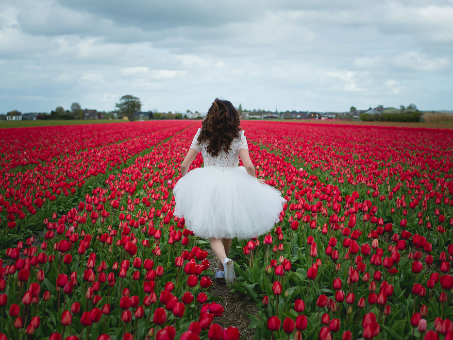 Woman in white dress walking through field of red tulips