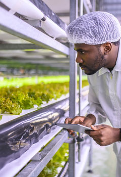 Genetic Research in Agriculture