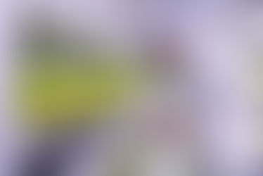 Quand la terre devient avenir : une autre façon de nourrir le Cameroun