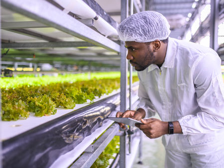 What Is Farm Management Software (FMS)?