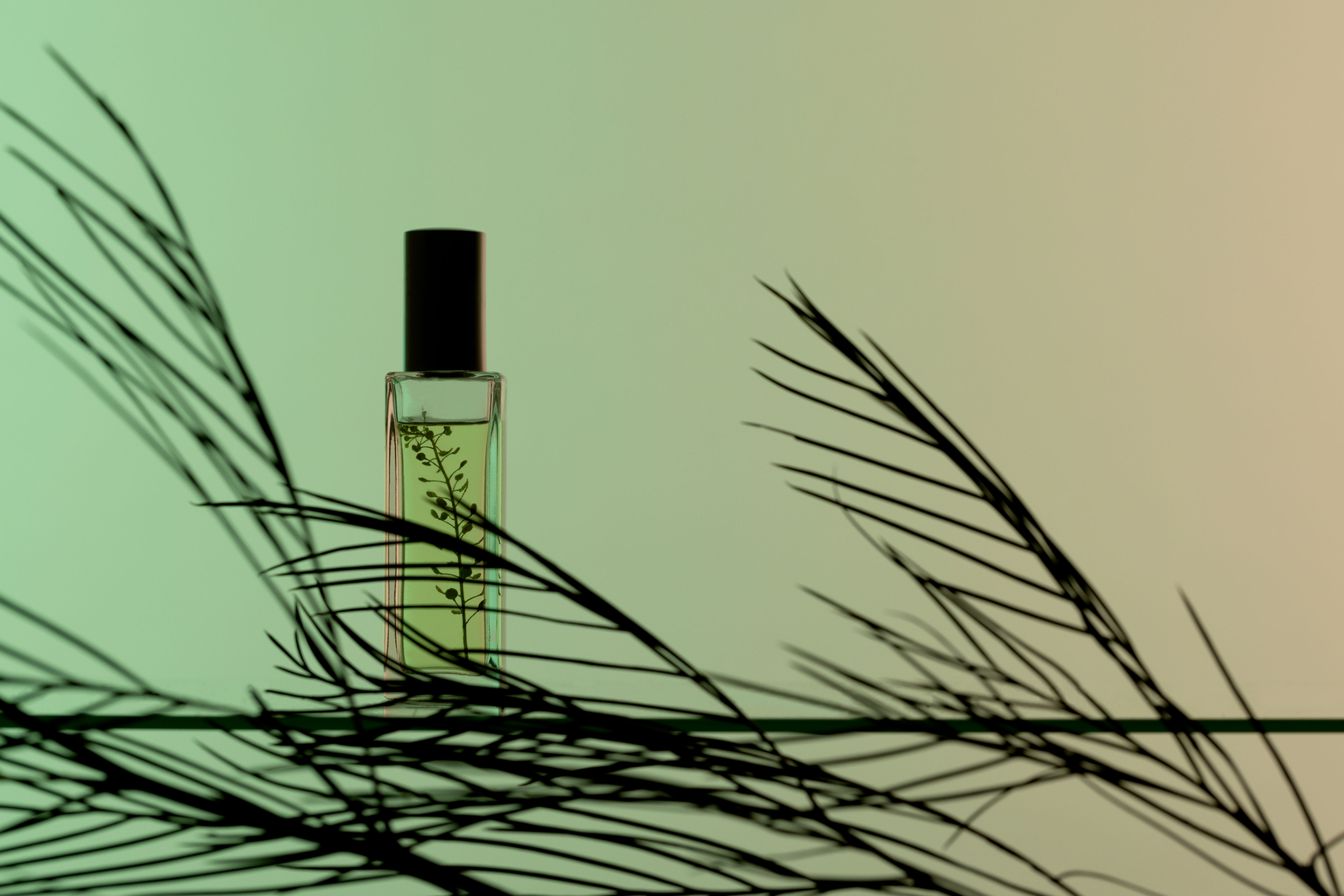 Tipo Eternity Aromatizante