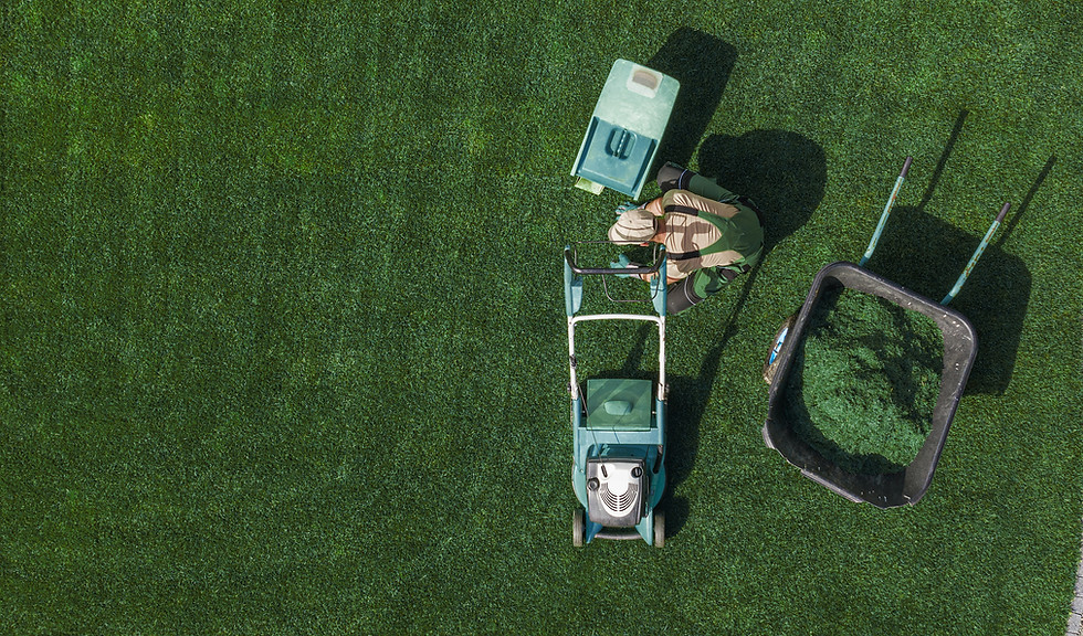 Lawn Maintenance
