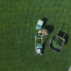 Lawn Maintenance