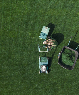 Lawn Maintenance