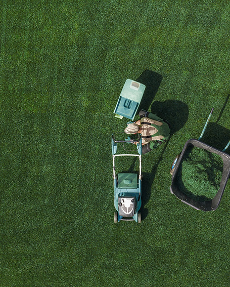 Lawn Maintenance
