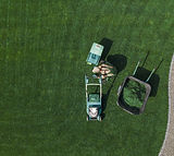 Lawn Maintenance