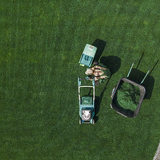 Lawn Maintenance