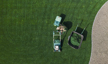 Lawn Maintenance