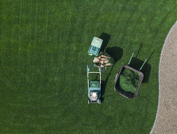 Lawn Care Tools