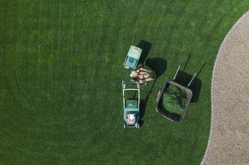 Lawn Maintenance