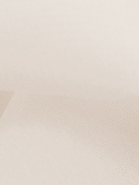 Weiße Rose