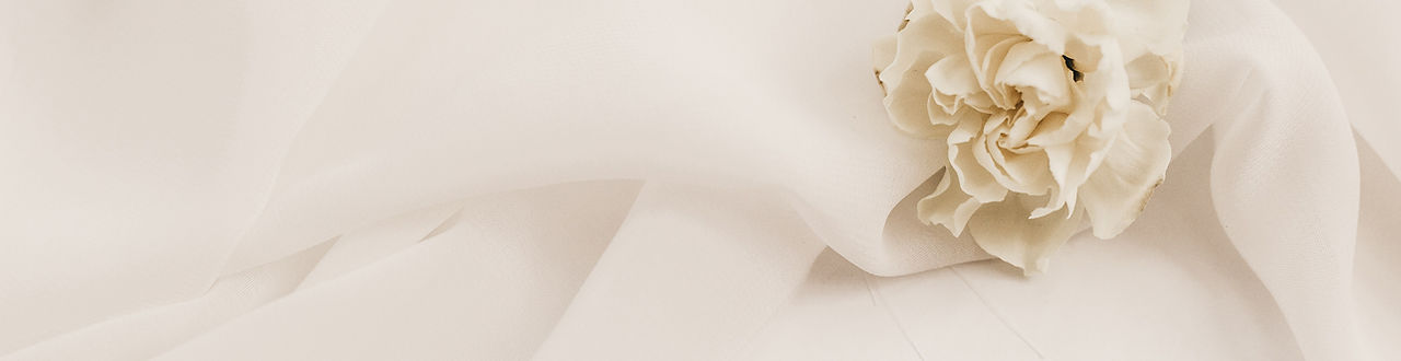 White rose