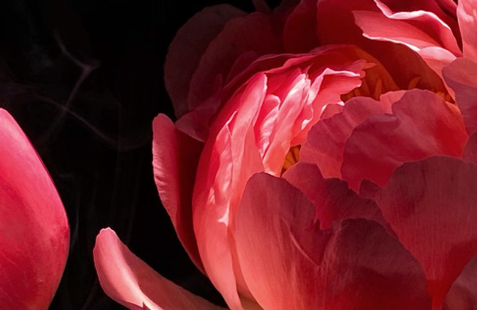 Dramatic Flowers