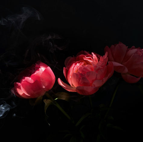 Fiori drammatici