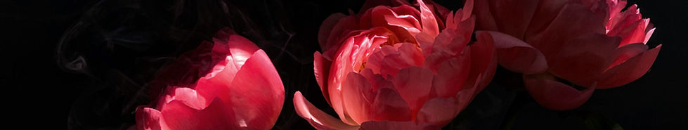 Dramatic Flowers