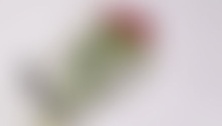 Vente de produit et vente de service, quelle différence dans les CGV ?