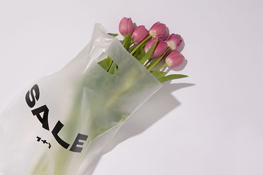 Tulips in Bag