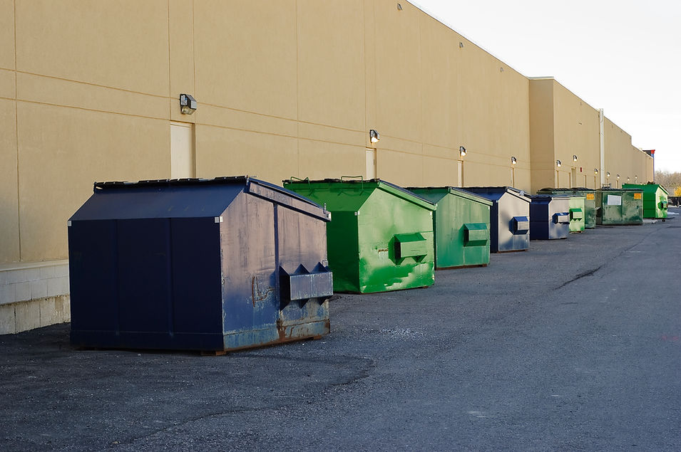Blue and green industrial garbage bins lined up outside along commercial building wall