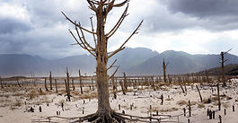 Cambio climático y huella de carbono