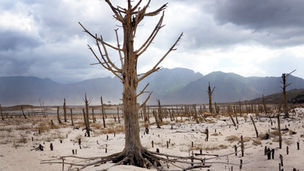 Okay Lord! I see the sign…