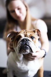 Dog Massage Courses
