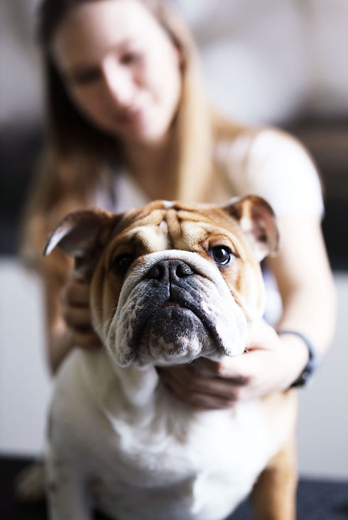 Dog Lover