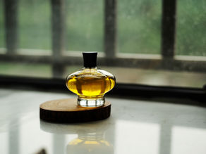 Sosyal Satış Araçları: Stratejini Optimize Et