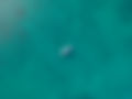 Aerial View of Yacht