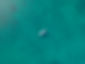 Boat In Turquoise Water