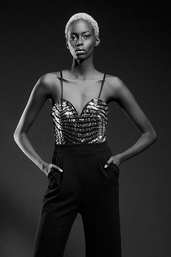 Elegant Model