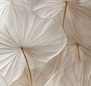 Zarte florale Textur