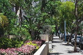 Urban Green Street
