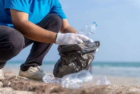 Beach Cleanup Effort