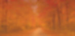 SIFH LTS Fall 1 background