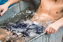 hot, cold and water treatments