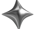 Shiny Star Ornament