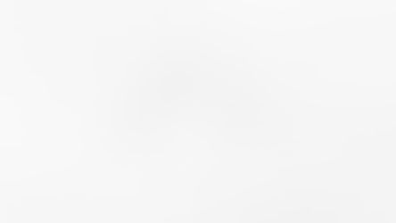 Geese migrating south for the winter