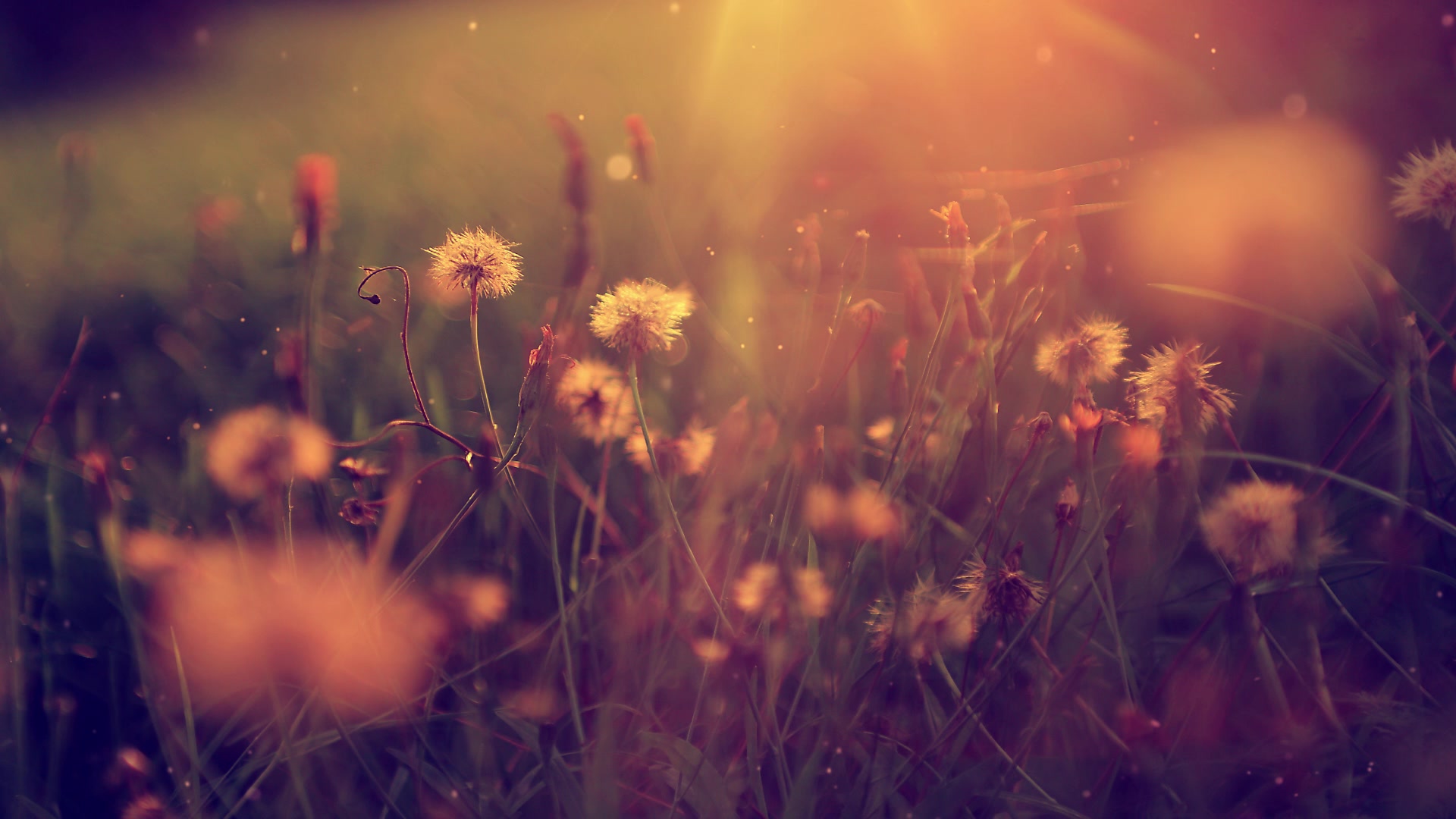 Carya Tallaya - Main photo