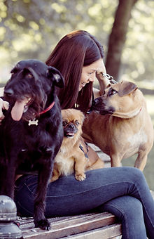 Dogs on a Bench