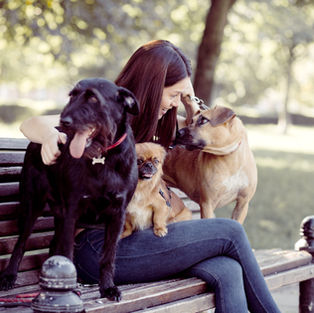 Should I Get a Second Dog?