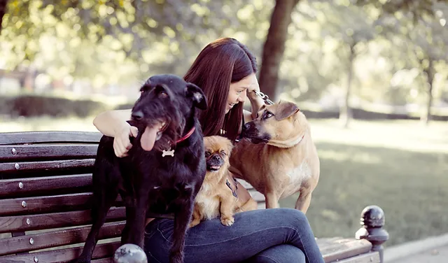 Get This Report about Fort Lauderdale Dog Sitting