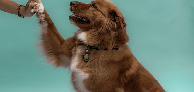 une bonne éducation