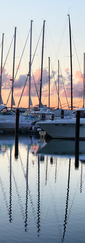 WellConcierge X Third Home